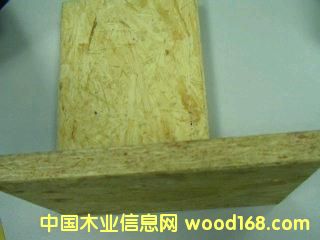 ���w���Ԕ��(x��)��B