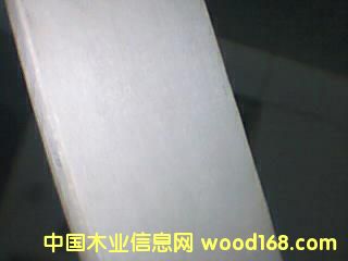 ���l��Ԕ����B