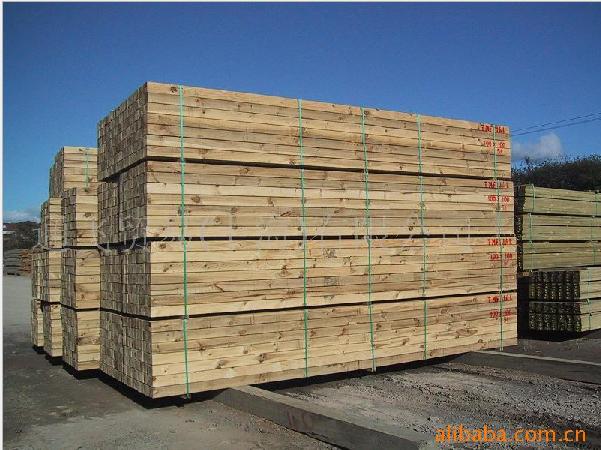 �����mݗ���ɰ��.