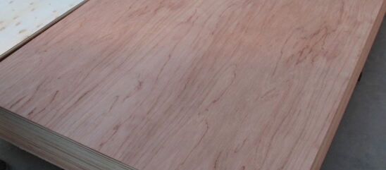 ȫ��ľ�����÷��m��