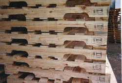 ľ�бP��Ԕ����B