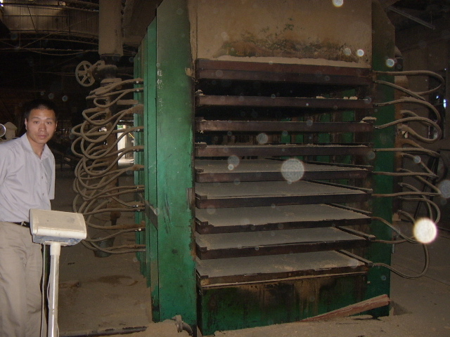 �İ˳�9����