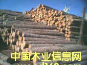 ��ľ�ΰ��Ԕ��(x��)��B