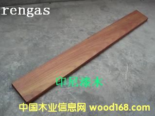 ӡ����ľrengas��Ԕ��(x��)��B