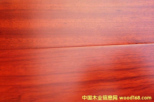 �����֌�ľ�ذ��Ԕ��(x��)��B