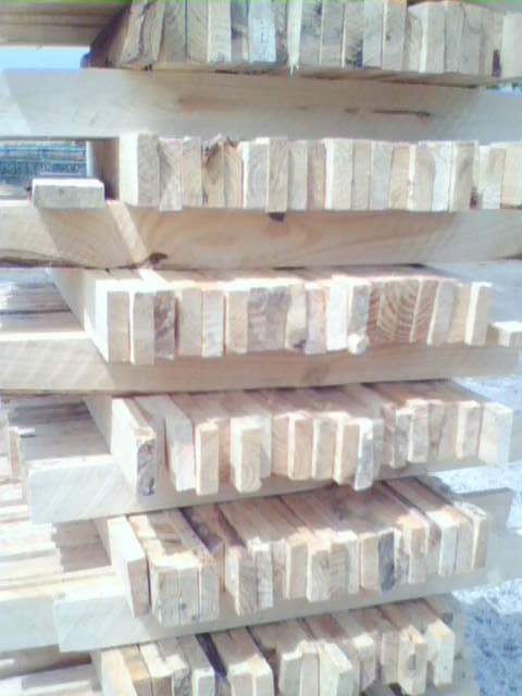 ��(x��)ľ����l��Ԕ��(x��)��B