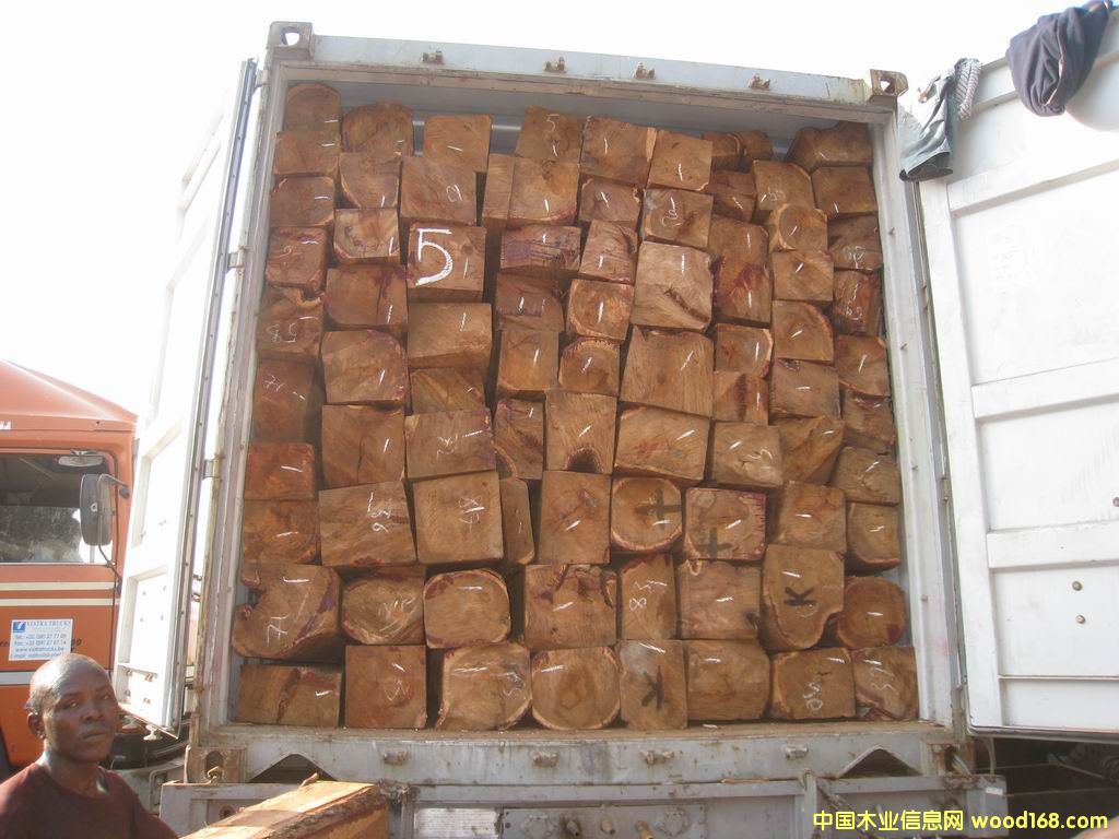 �������Ԕ����B