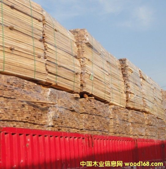 �M(j��n)��̩�����zľ