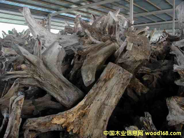 �ϓ�t��֦��(sh��)�^����(sh��)����Ԕ��(x��)��B