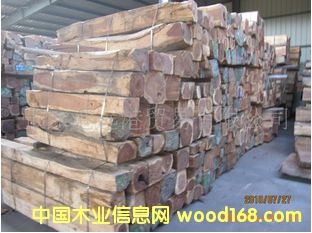 ����(y��ng)���黨֦ ����֦ �t��֦��Ԕ����B