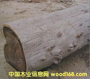 ����(y��ng) �W���S̴ ���黨֦ ԭľ ��ĵ�Ԕ����B