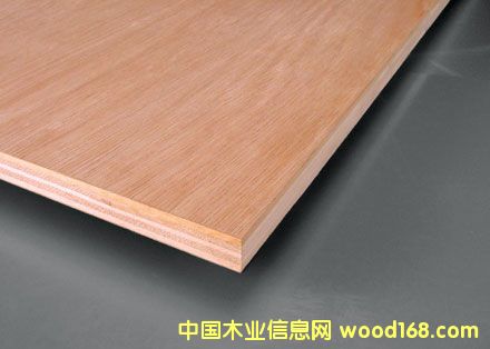 ʢ�_(d��)�ƶ��Ӱ�