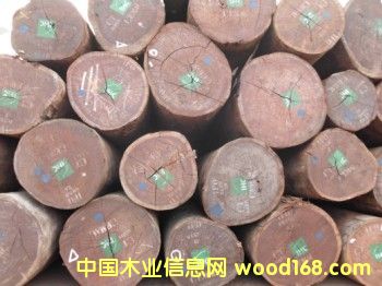 ɳ������Ԕ��(x��)��B