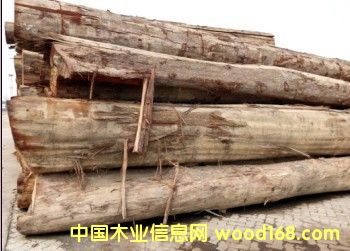 �����Ԕ��(x��)��B