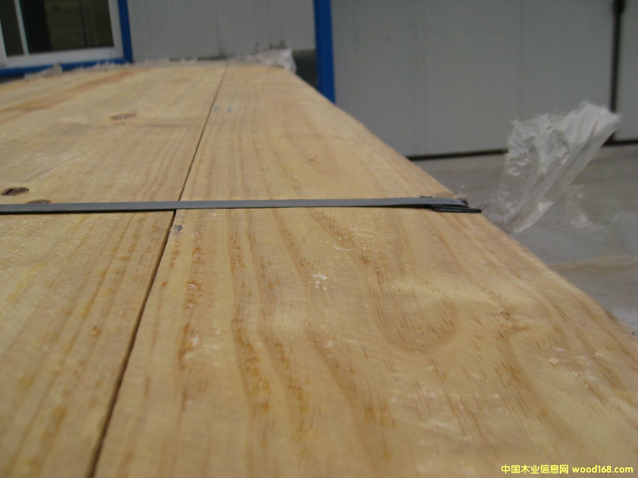 ����ݗ���ɰ�ĵ�Ԕ����B