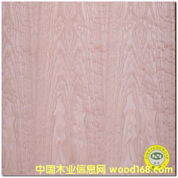 ���V��ʢ����Ȼ��ľ/ˮ������yԭľľƤ����-�N���