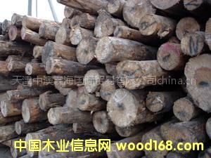 �����l(f��)�����bС���M(j��n)�ڰ���ԭľ