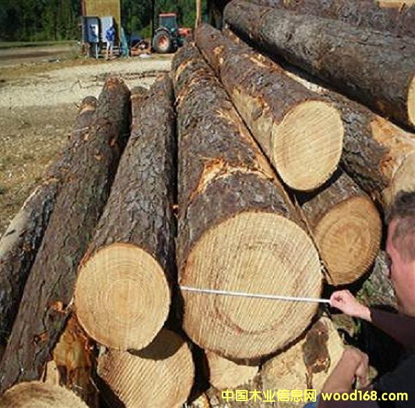 �����ϲ��S��