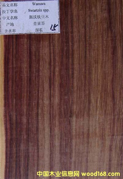 ��������֦(wamara)