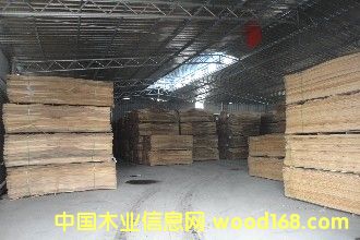 ����˹�ΰ��Ԕ��(x��)��B