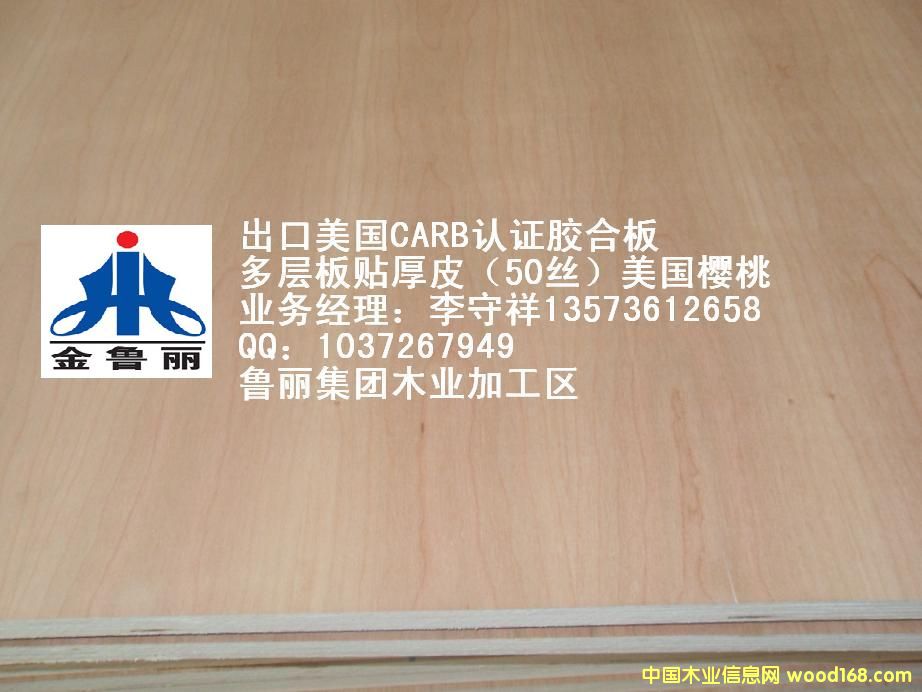 ��Ƥ��������z�ϰ�