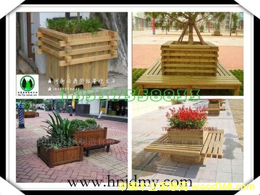 ����ľ����