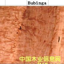 �������棨�t�F����