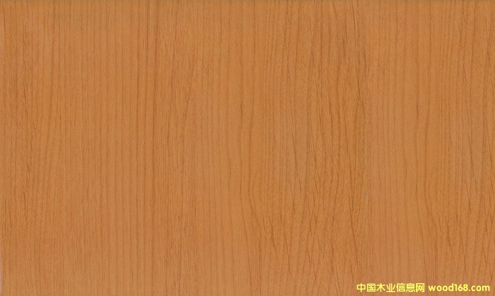 ����ľ��Ԕ����B