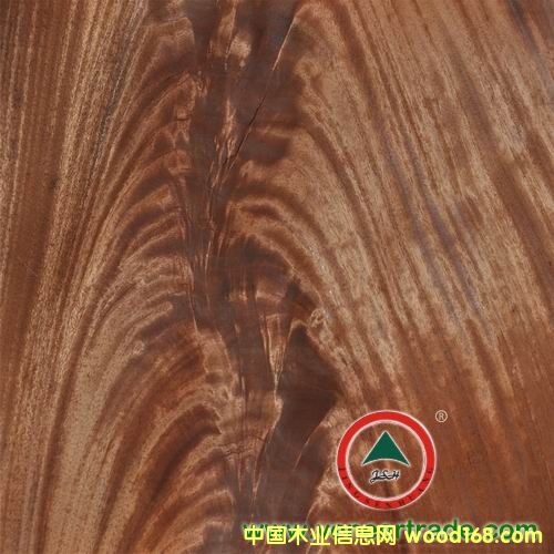 �һ�о��辵�Ԕ��(x��)��B