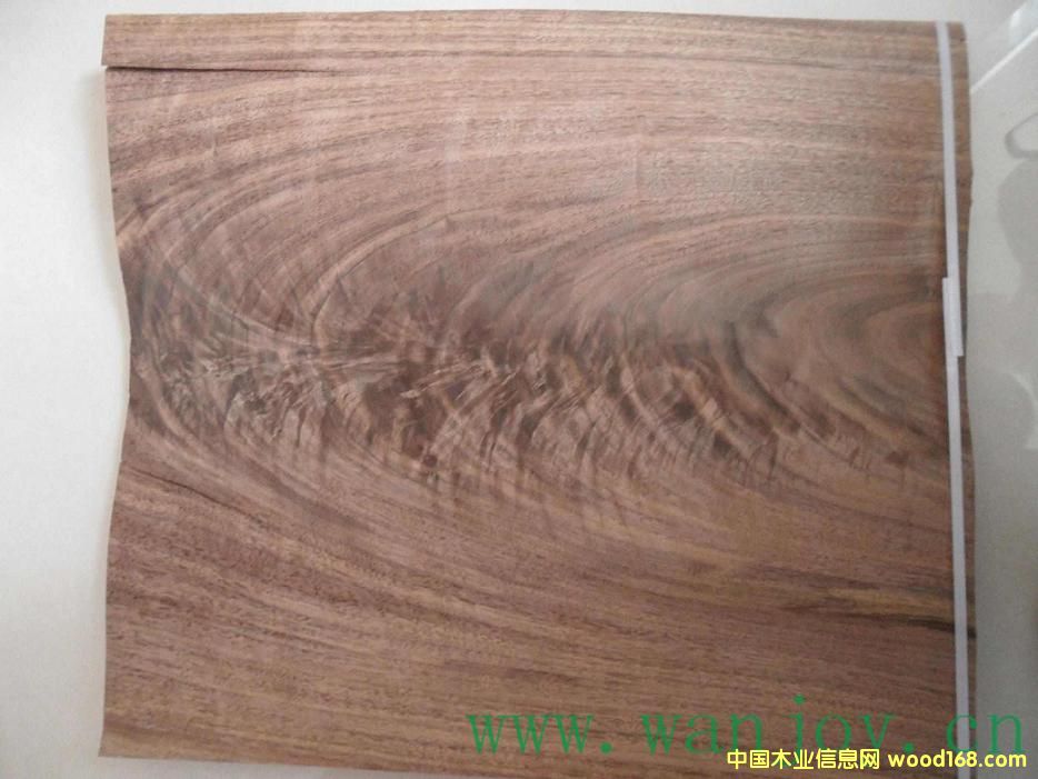 �ں��Ҙ�辵�Ԕ��(x��)��B