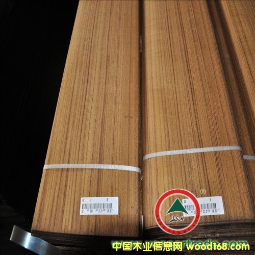 ��ľľƤ��Ԕ��(x��)��B