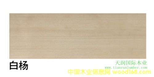 ����(gu��)�ח� American aspen��Ԕ��(x��)��B