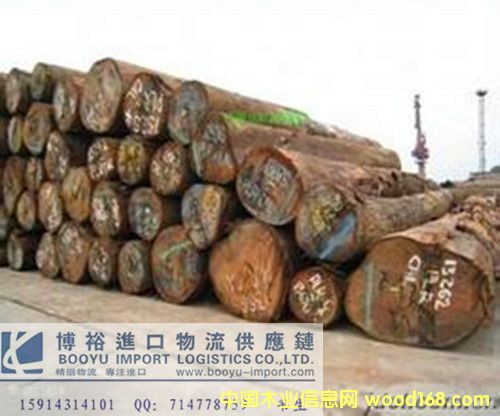 �׻��¶�ľ�M(j��n)�ڈ�(b��o)�P(gu��n)����