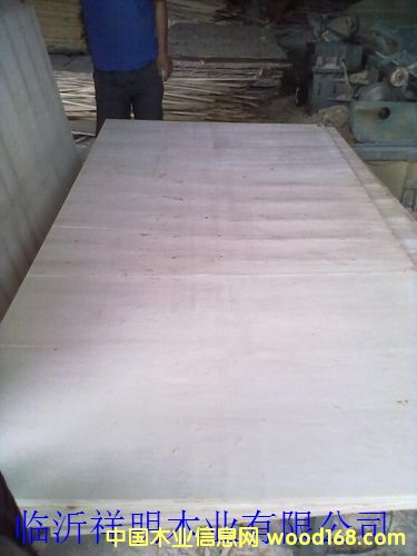 �z�ϰ�8������b��