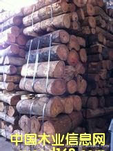 ����(y��ng)������֦ ����֦ԭľ