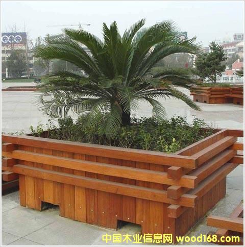 ����ľľ�|(zh��)����