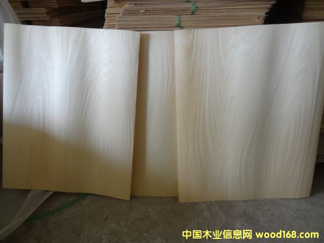 ��ľ�ذ����ϵ�Ԕ��(x��)��B