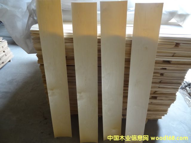 ��ľ�ذ����ϵ�Ԕ��(x��)��B