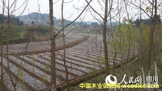 �Ĵ��ϲ��h��һ���������^����������ľ