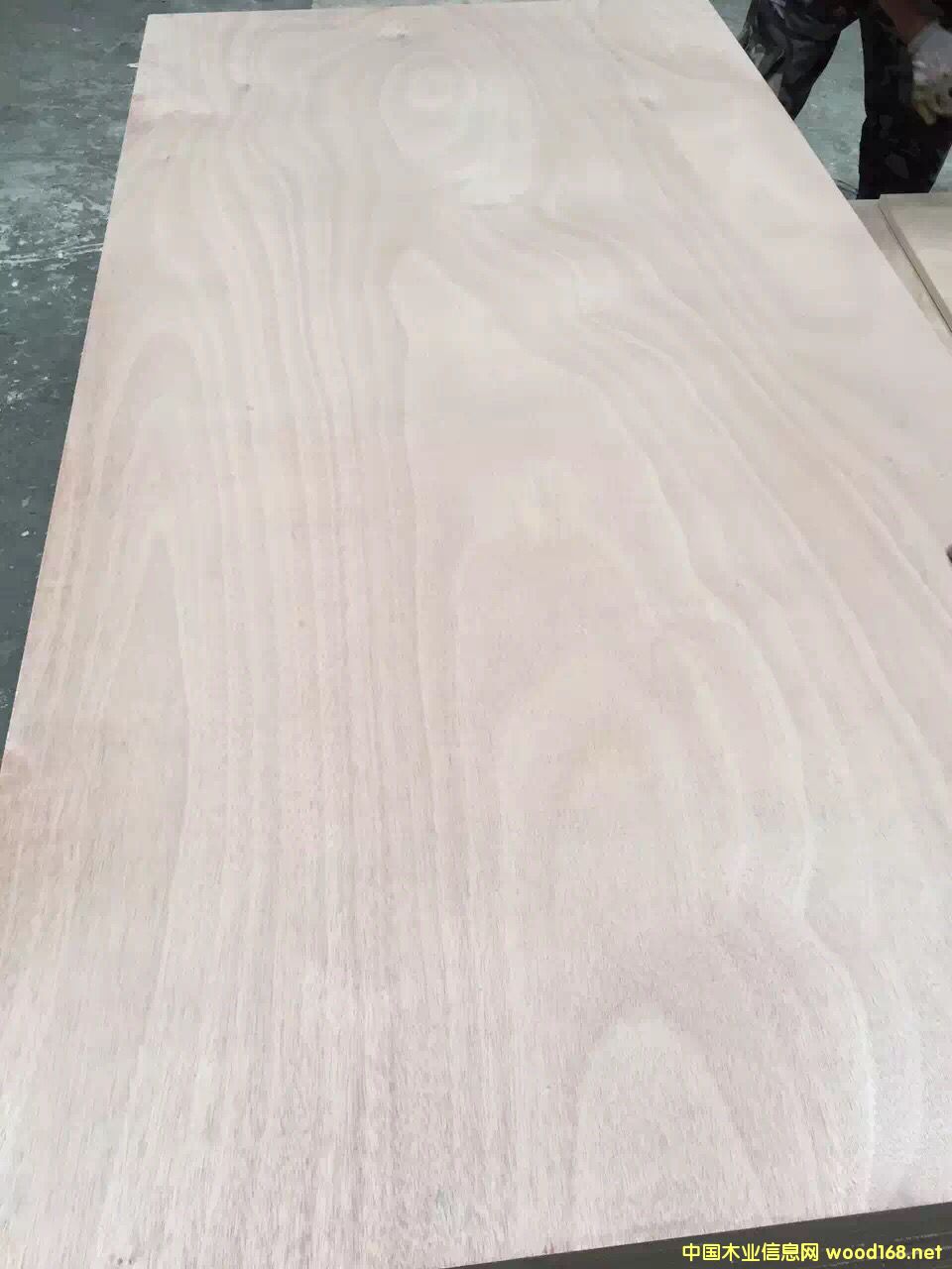 15�匍(sh��)ľ���Ӱ�ϵ��