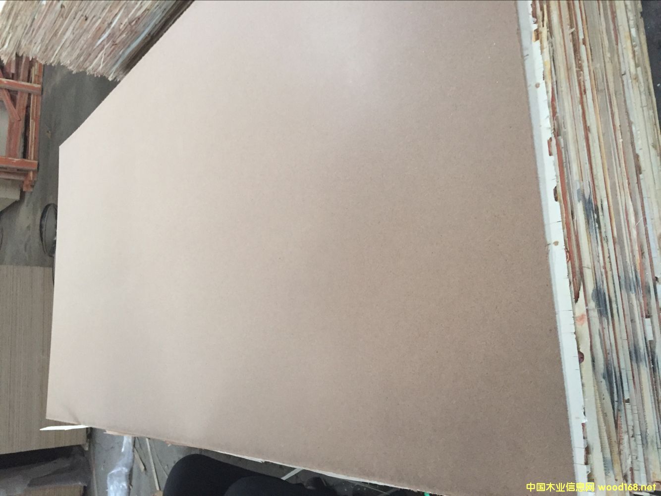 5���������ďS�� ��ľ