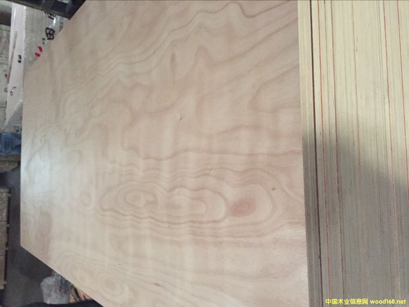 18��Ҿ߰� ����о 