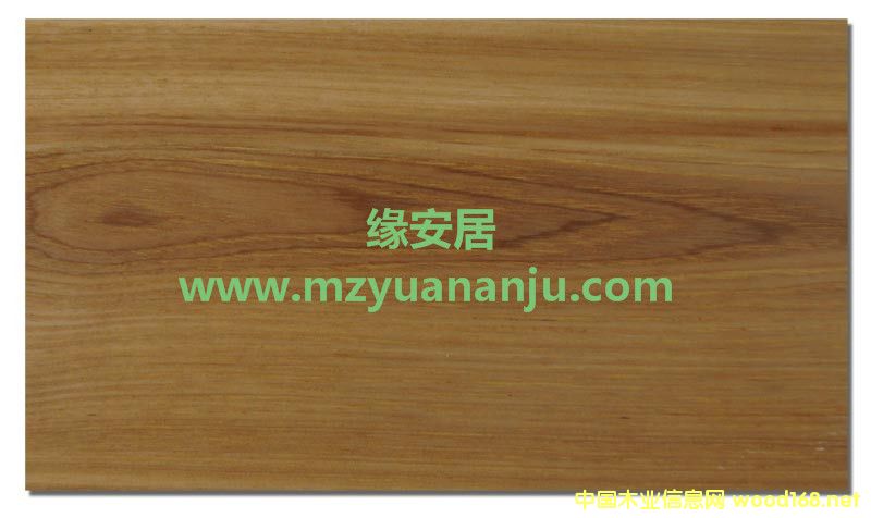 ��ľ���_��A1201