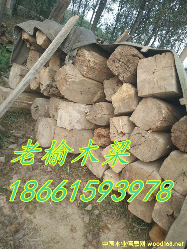 ����ľ03��Ԕ��(x��)��B