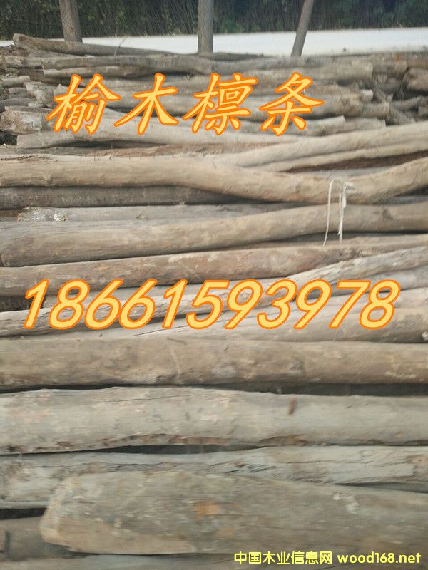 ����ľ--��Ԕ��(x��)��B