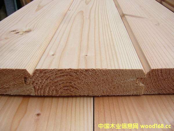 2016ľ��������P�c��SPF��������ߣ������ɰ��ʲ����