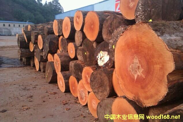 �W�����͵���䏲�ԭľ�r�����10����ĵ��c(di��n)