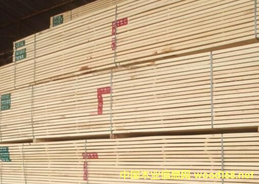 ���ް�ľ�r(ji��)����u�ϝq