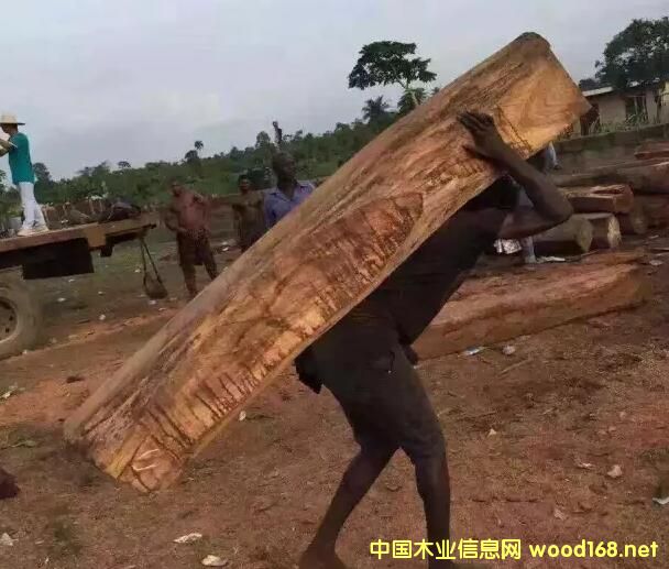 CITES���(hu��)9.24���_(k��i)�������������h�����̴�������(j��)�lΣ