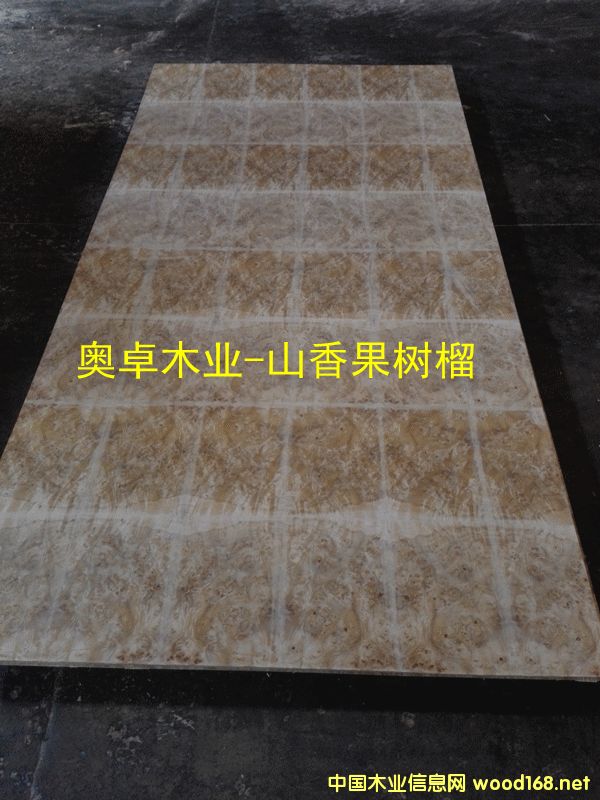 ɽ�����������